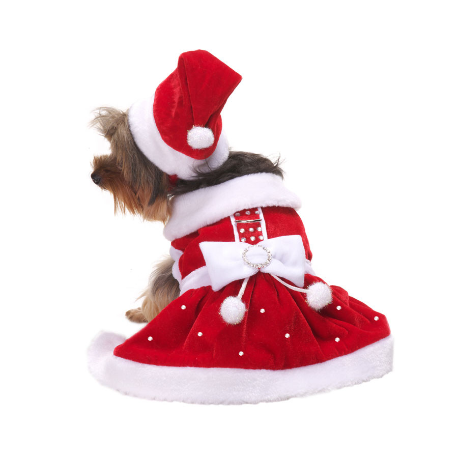 santa dress for dogs