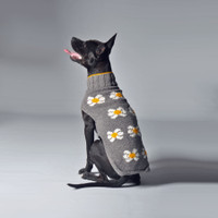 Daisy Dog Sweater