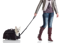 Dog Bag Rolling Jet Set Carrier