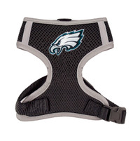 eagles dog sweater