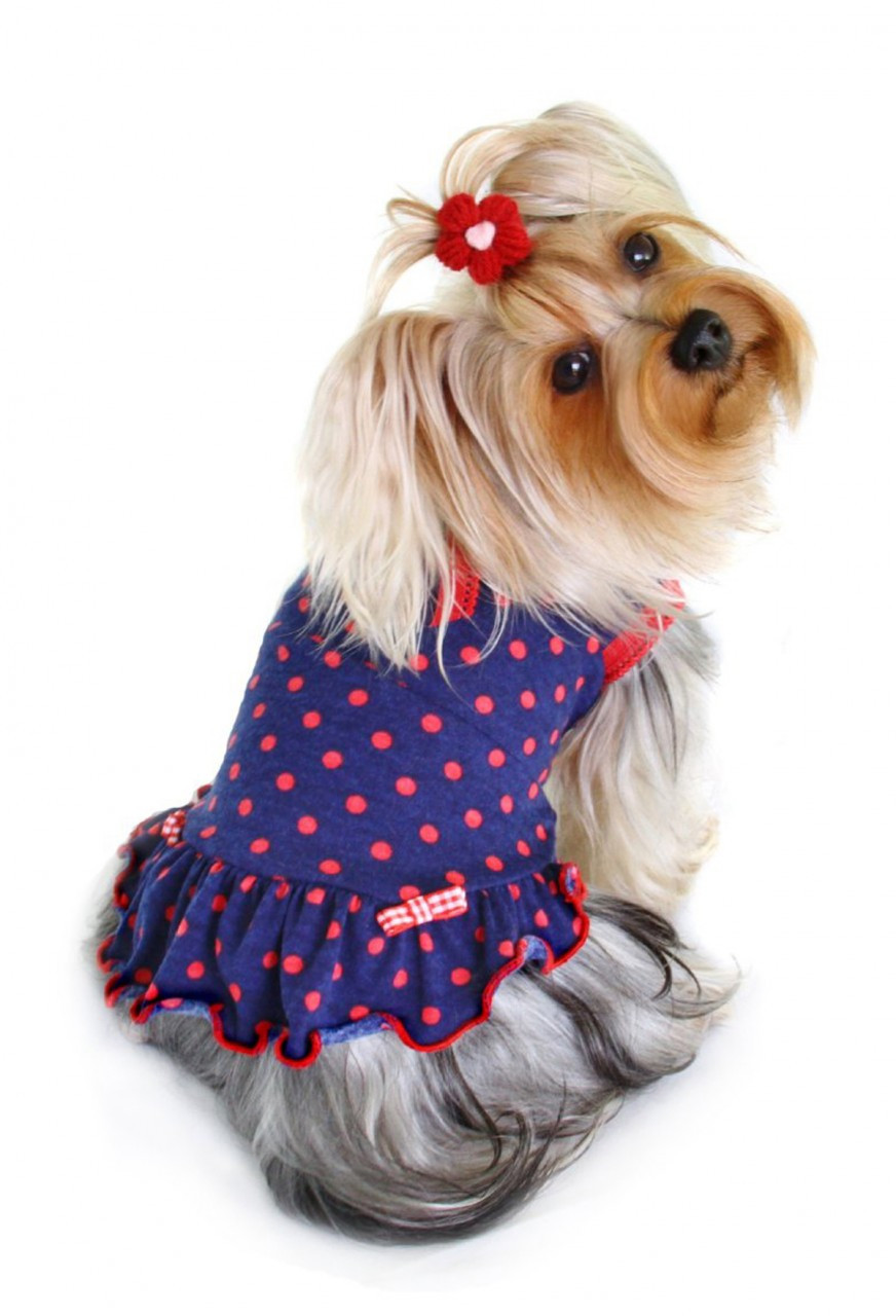betty boop polka dot dress
