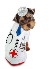 Doctor Barker Dog Costume