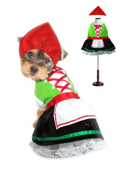 dog and girl costume