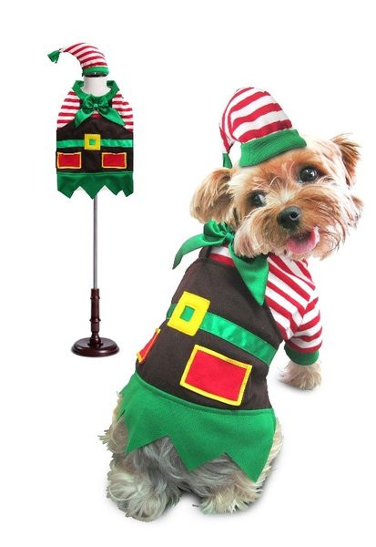small dog elf costume
