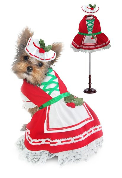 christmas dog costume