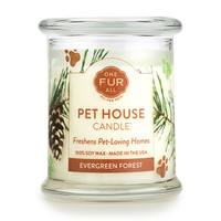 Evergreen Forest Odor Eliminating Soy Candle