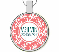 Coral Silver Pet ID Tags