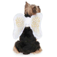 Angel Wing Harness Costume