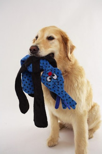 Silly Pulls Dog Toys