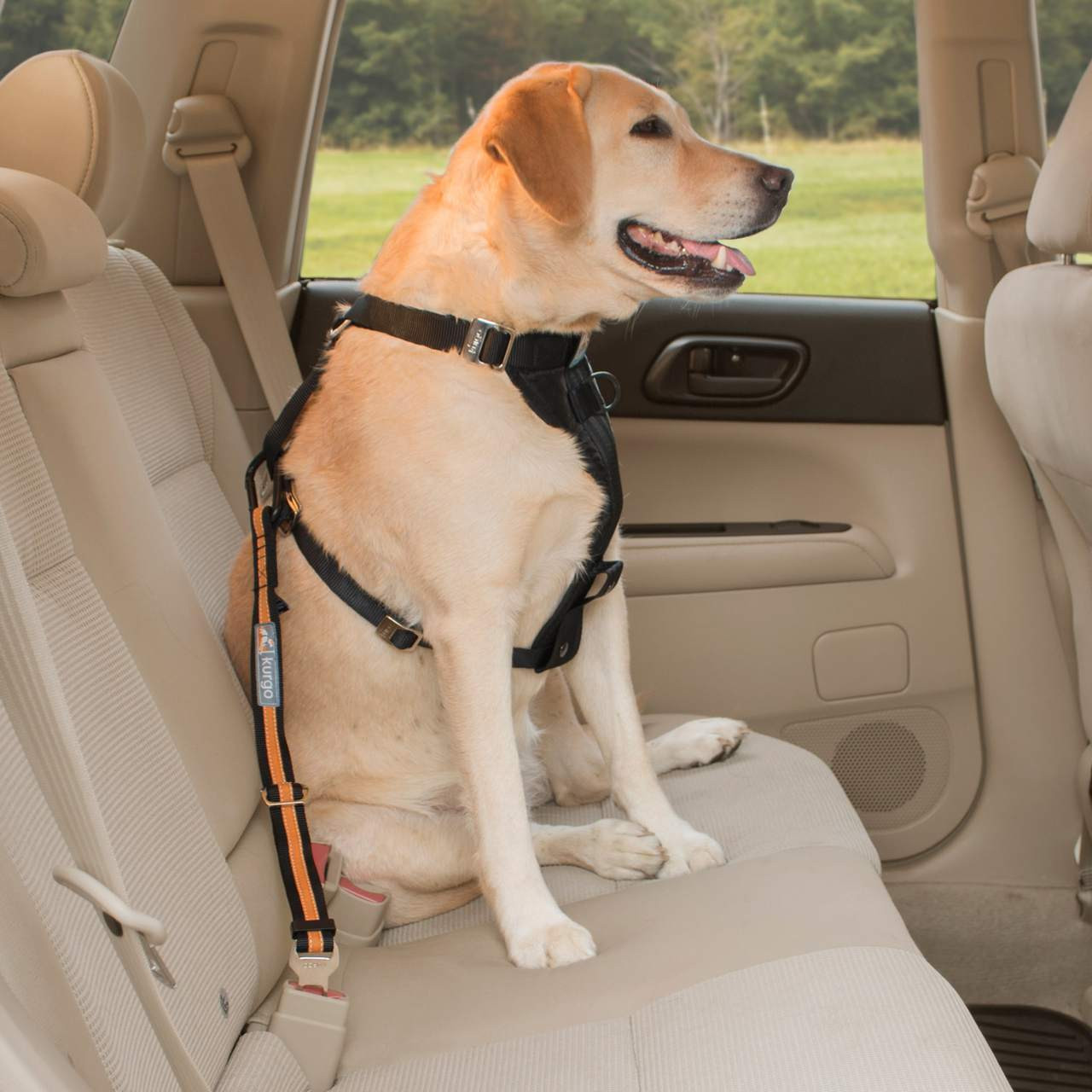 Dog Seat Belt Harness >> Direct To Seat Belt Tether Dog Seat Belt Harness >> Direct To Seat Belt Tether