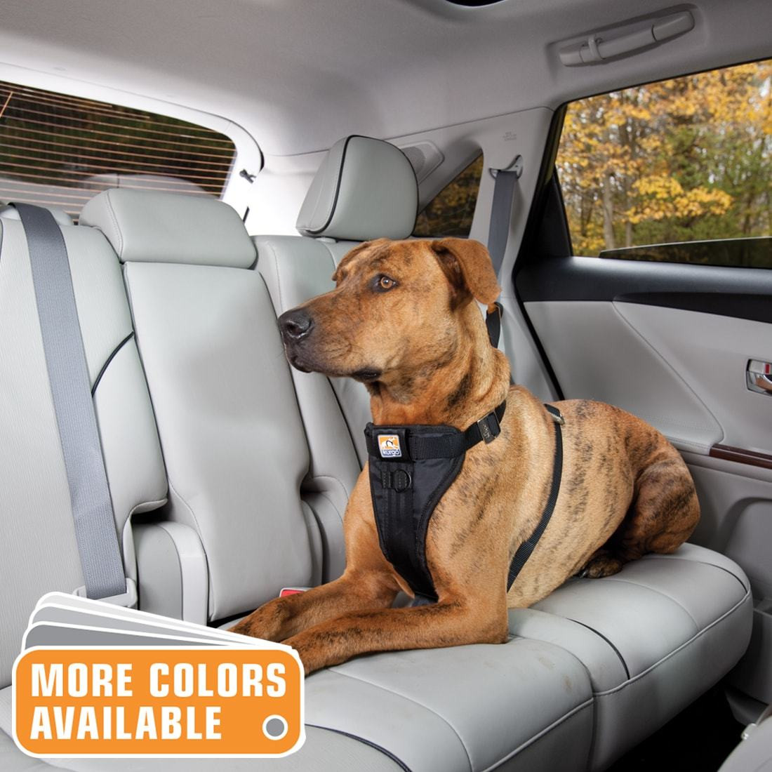 dog driving harness