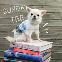 Louisdog Sunday Tee