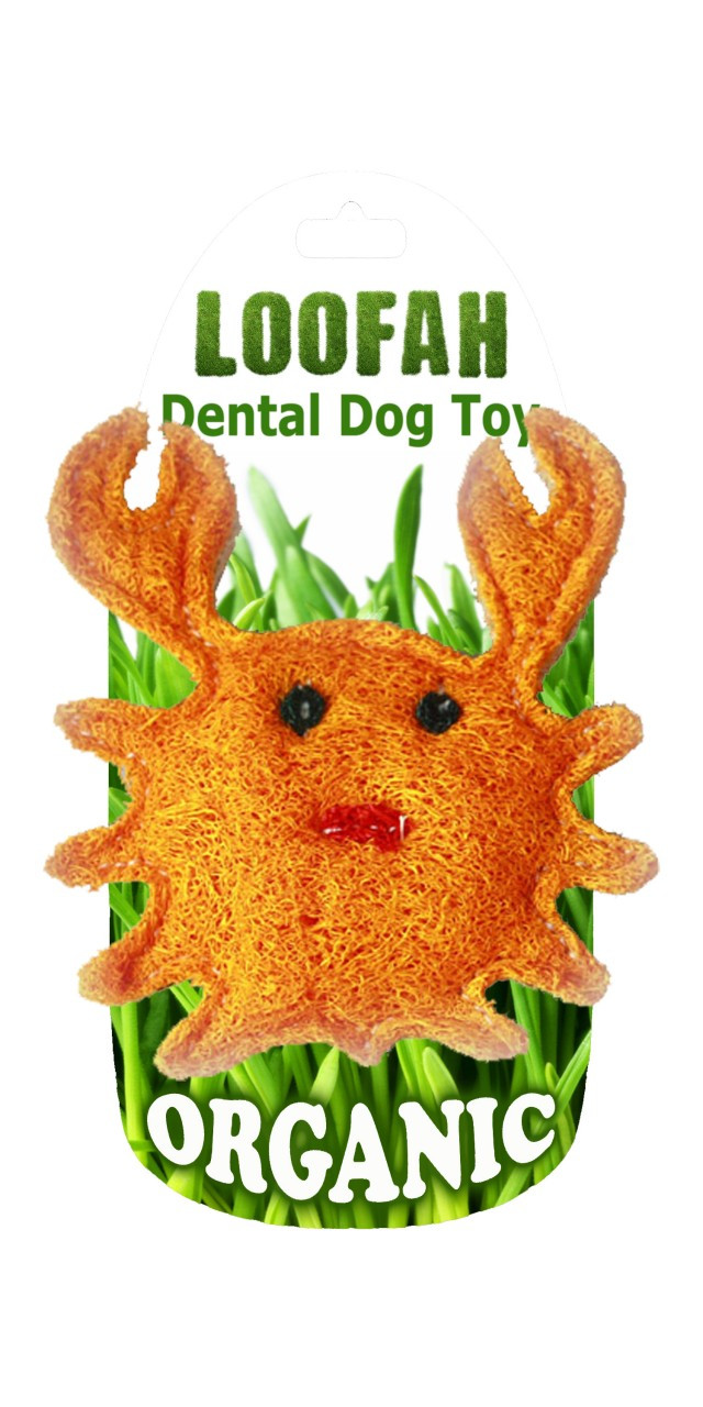 loofah dental dog toy