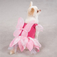 Fairy Tails Dog Costume