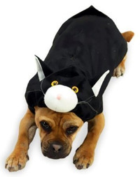 Doggone Cat Dog Costume