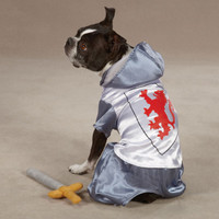 Knight Dog Costume (LAST ONE!)