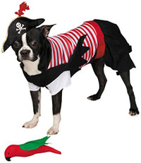 Pirate Tails Dog Costume (LAST ONE!)