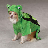 Turtle Costume 