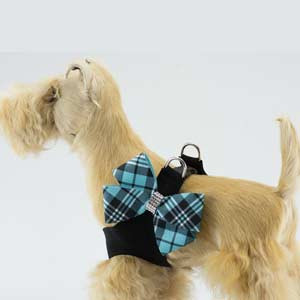 susan lanci dog harness