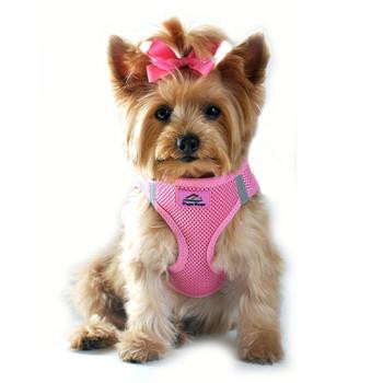 american river dog harness