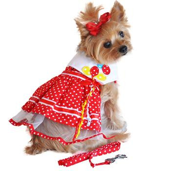 Designer dog dress Clearance