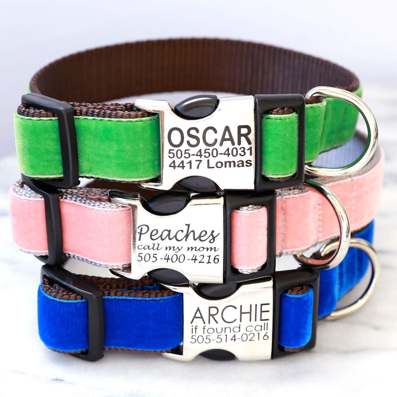 embossed dog collars