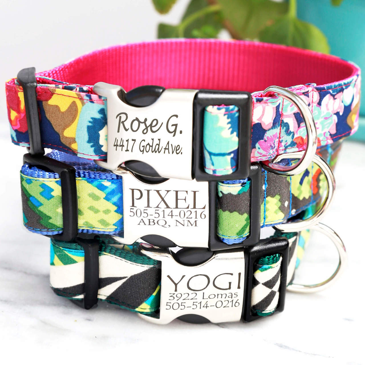 personalized dog collars