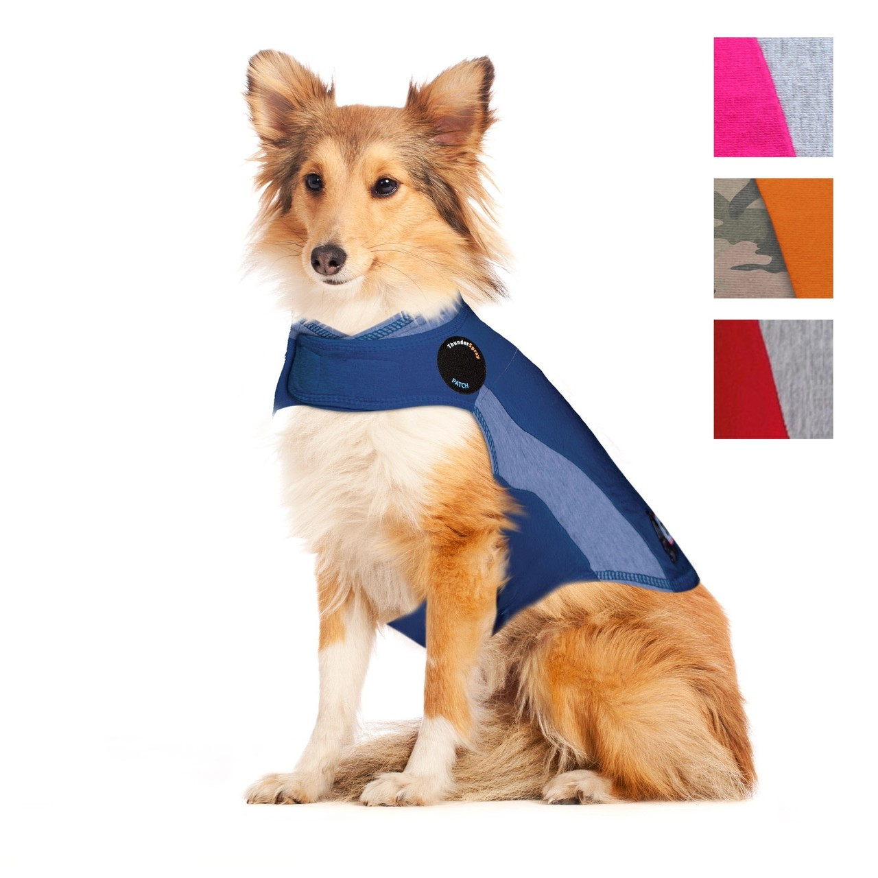 dog harness calming effect