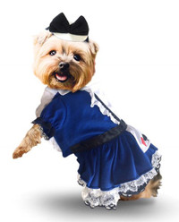 Dog Dress Up Outfit Pirate Buccaneer Pet Halloween Funny Costume
