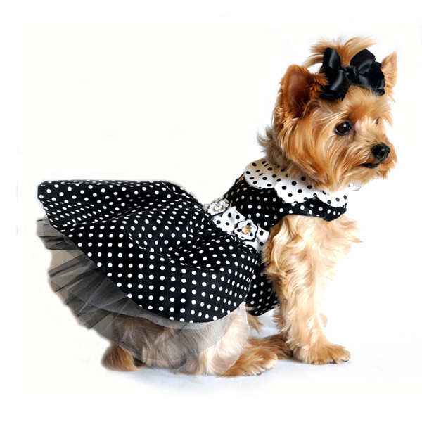dog frocks