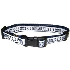colts dog collar