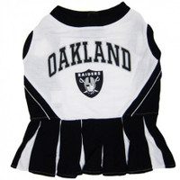 dog raiders jersey