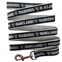 Oakland Raiders Ribbon Dog Leash
