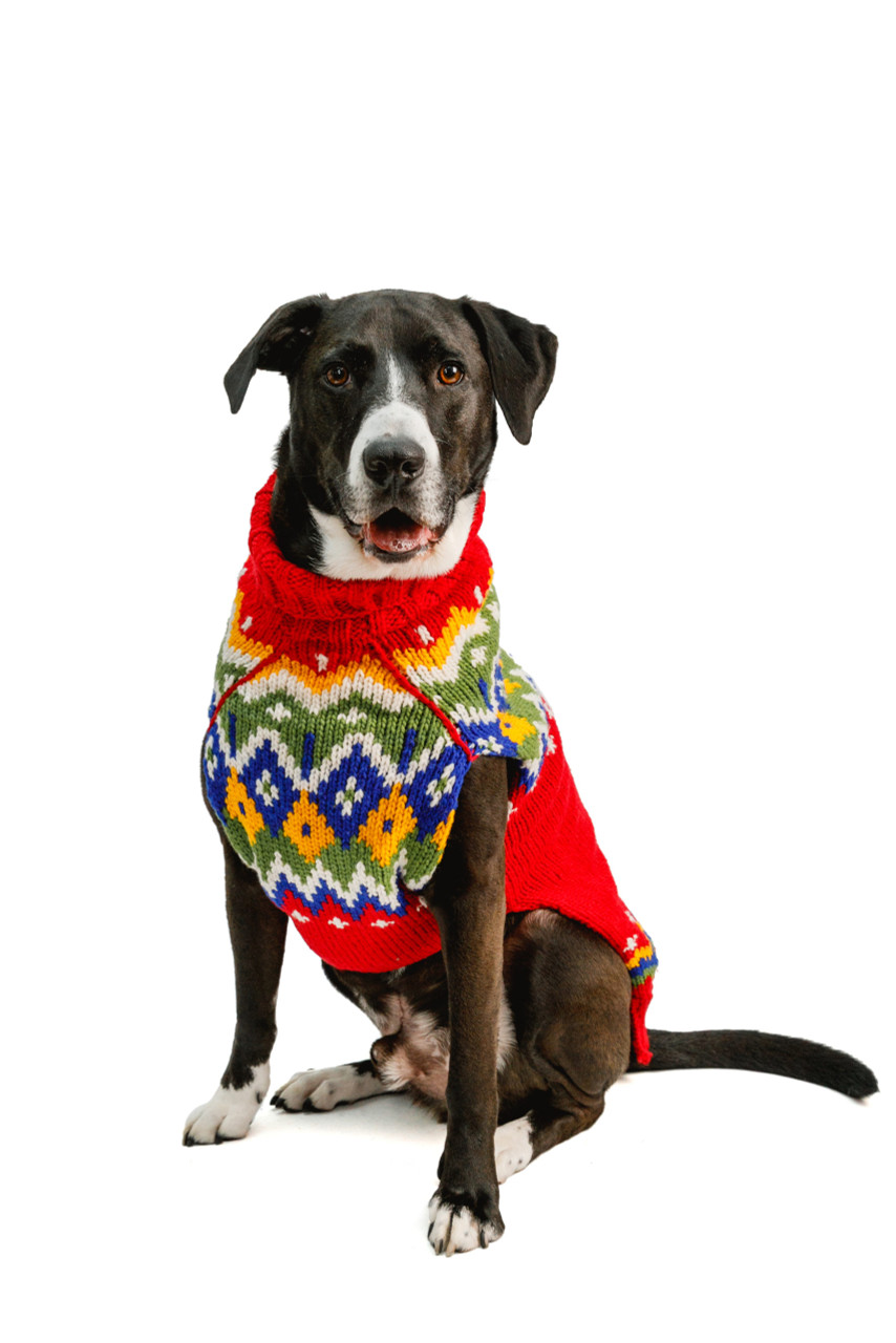 holiday dog clothes