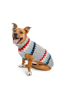 dog sweaters for extra large dogs