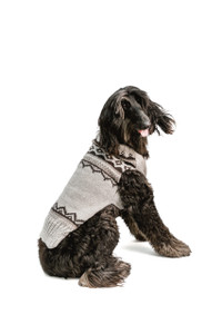 cool sweaters for dogs