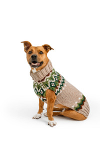 Clearance Pups at the park bark sweater
