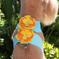 Sunshine/Tangerine Flower on Tiffi Blue Harness