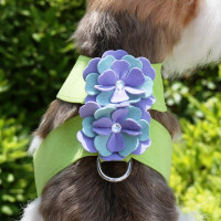 Periwinkle/Mint Flowers on Kiwi Harness