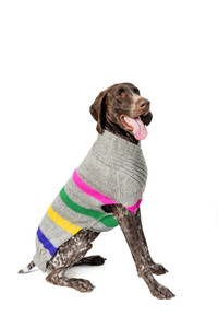 Alpaca Candy Stripe Dog Sweater