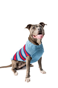 Alpaca Sky Blue Rugby Dog Sweater