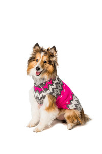Hot Pink Ski Wool Dog Sweater