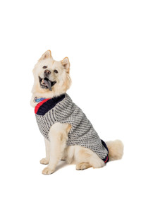Birdseye Wool Dog Sweater 