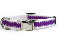 Preppy in Purple Dog Collars