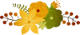 fall flowers