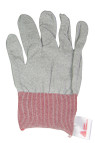 Avery Application Glove