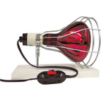 Glass & Film Sales Demonstration Lamp