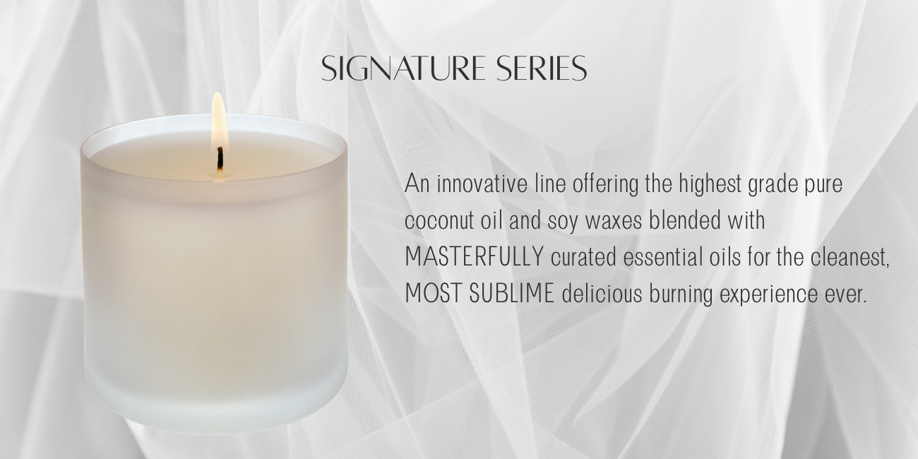 signture-series-banner.png signture-series-banner.png