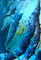 Kelp Series #4