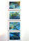 The Kelp Collection